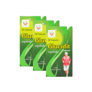 Ayurvedic Glucofit Capsule Wholesale - Bestsata wholesale medicine supplier offering Medicine