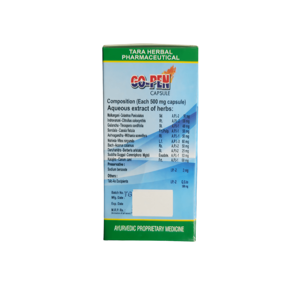 Ayurvedic Go pen Capsule For Joint Pain Relief - Bestsata wholesale medicine supplier offering Medicine