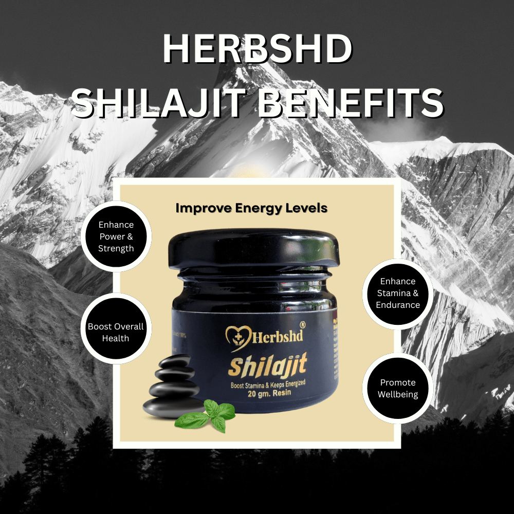 Shilajit Resin 20gm For Stamina & Energy - Bestsata wholesale medicine supplier offering Medicine